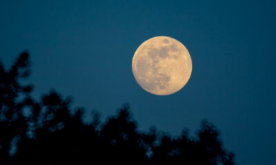 Qu'est-ce que «l'illusion de la lune» et pourquoi fait-elle paraître la lune plus grande?