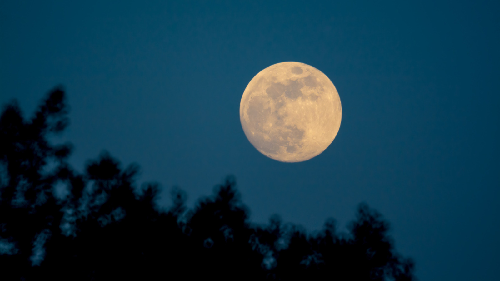 Qu'est-ce que «l'illusion de la lune» et pourquoi fait-elle paraître la lune plus grande?