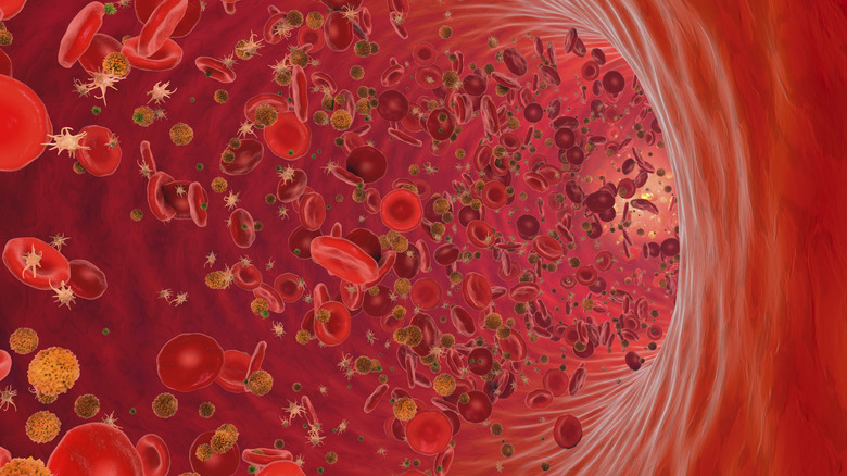 Les cellules sanguines voyagent à l'intérieur d'un vaisseau sanguin