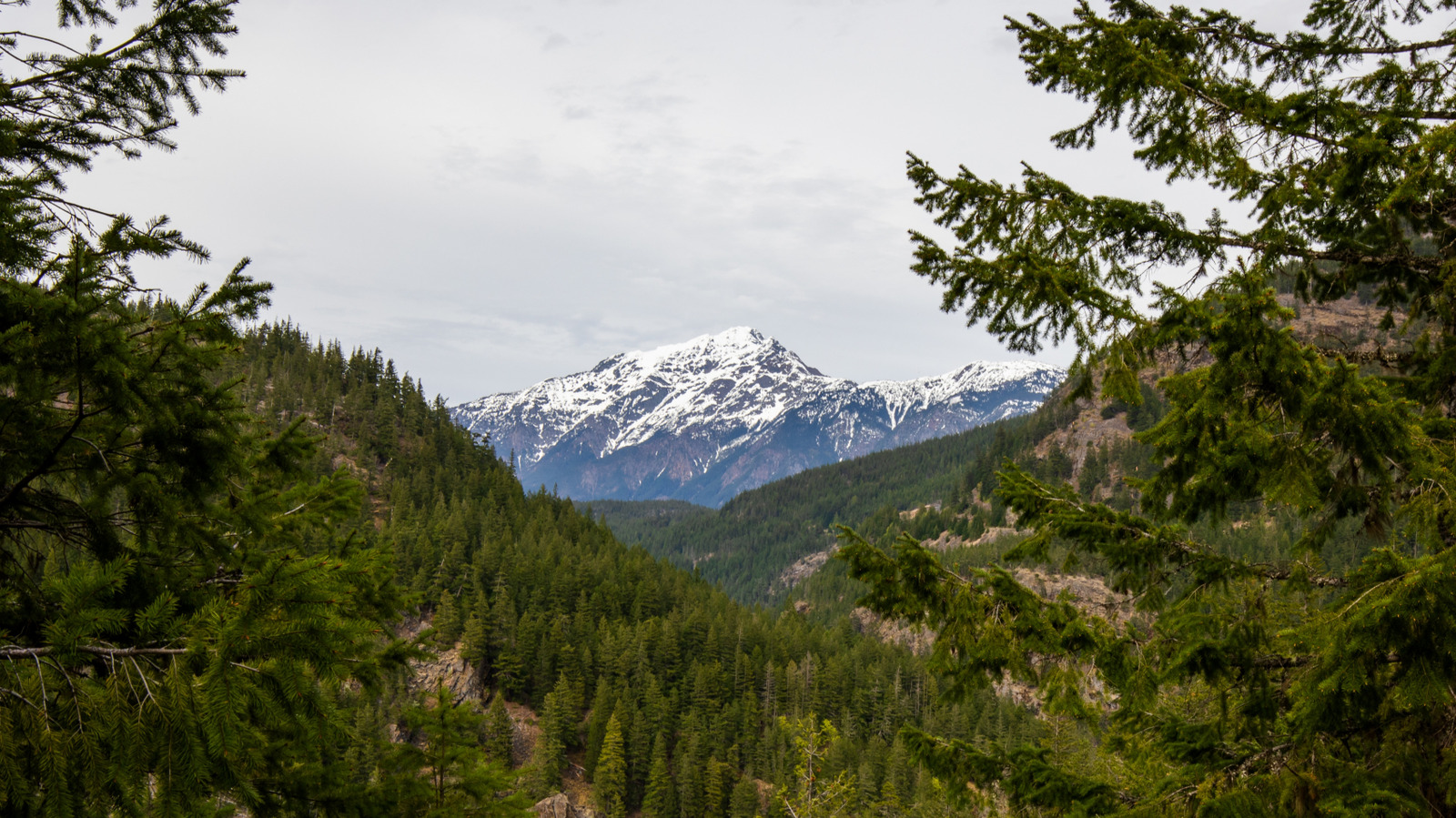 Le dangereux du sommet de Washington offre une aventure passionnante aux randonneurs qui osent s'attaquer