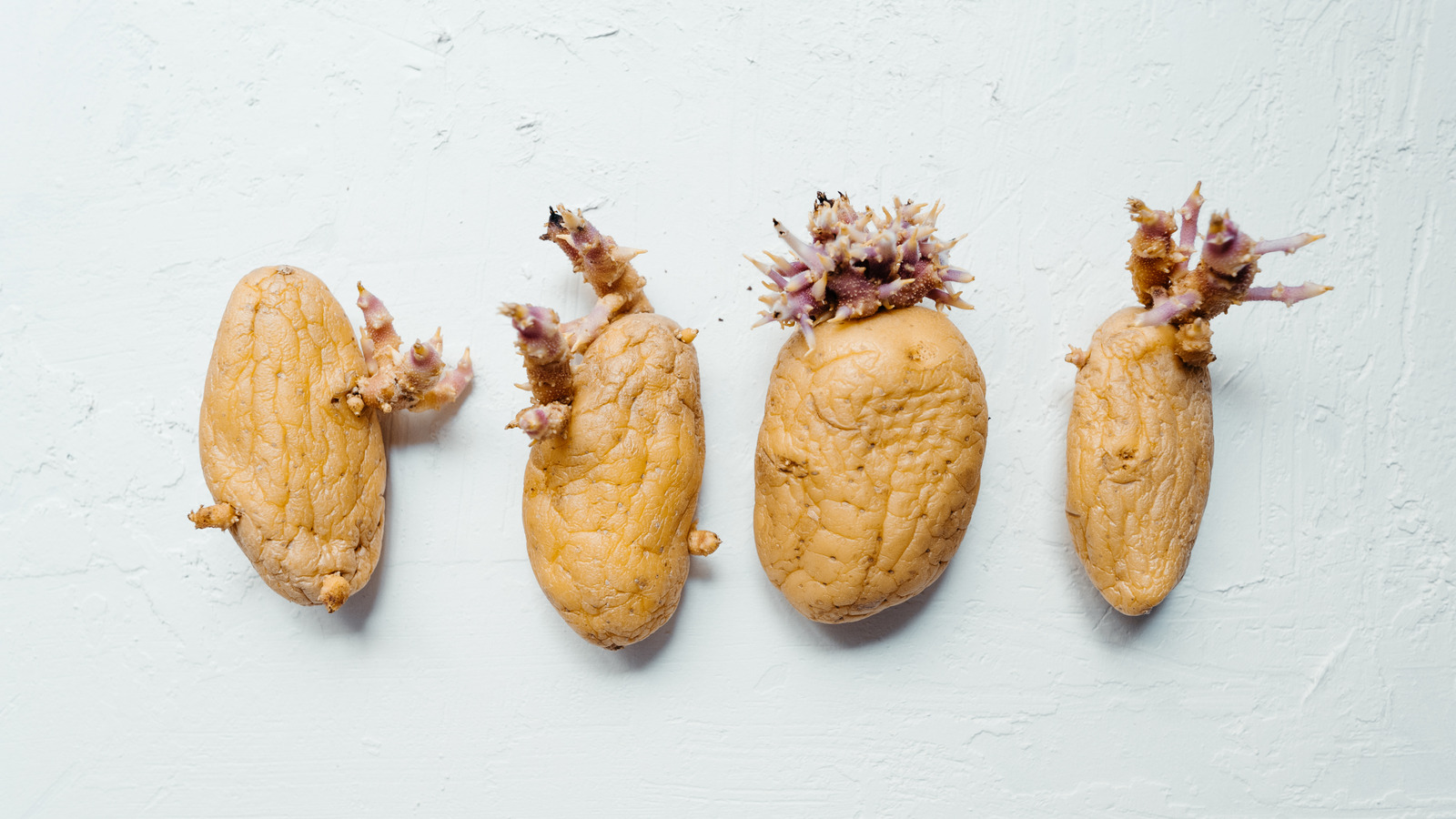 Quelles sont ces choses qui sortent de pommes de terre?