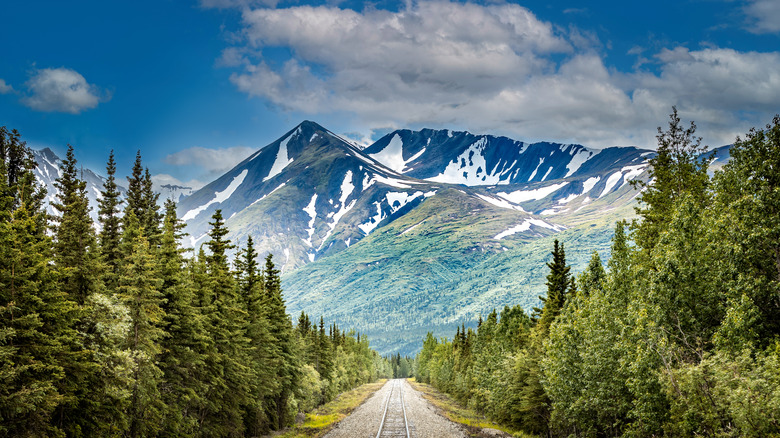chemin de fer vers le parc national, en Alaska, avec vue sur les montagnes