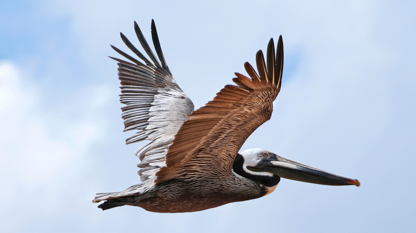 Ce refuge sauvage caché en Floride est le rêve d'un amoureux de la nature avec des sentiers pittoresques