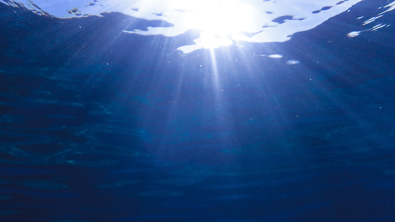 rayons de soleil sous l'eau