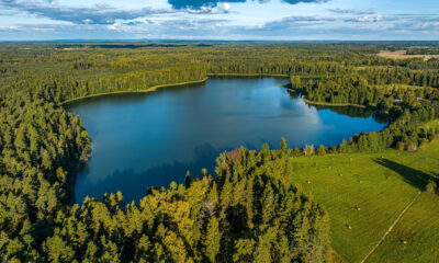 Pond Vs. Lac: la différence est plus compliquée que la taille