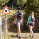 Ce hack approuvé par le parc des ranger est un moyen rapide et facile de se débarrasser des tiques lors de la randonnée