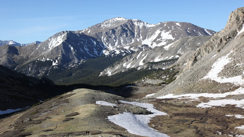 Mount Harvard Vista début de l'été