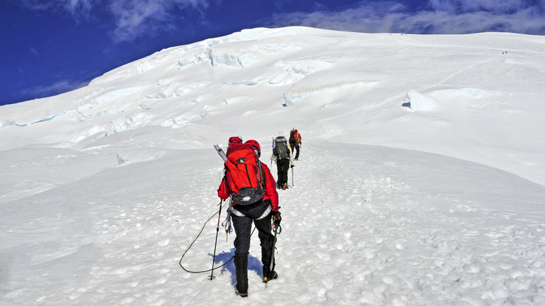 Climateurs qui tentent de sommet le mont Rainier