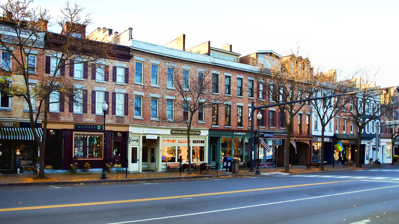 Une rangée de fronts de magasin sur la rue principale de Skaneateles.