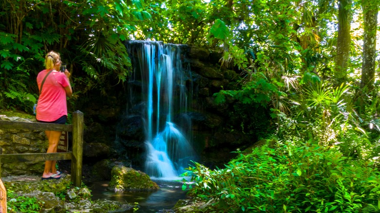 Une femme prend une photo d'une cascade à Rainbow Springs State Park, en Floride,