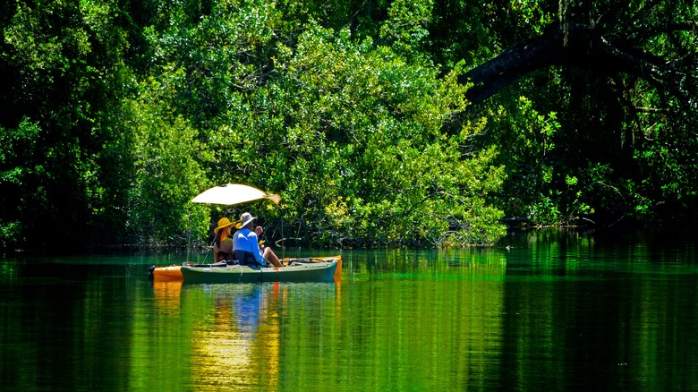 Un couple fait un paddleboat le long de la rivière Rainbow, en Floride,