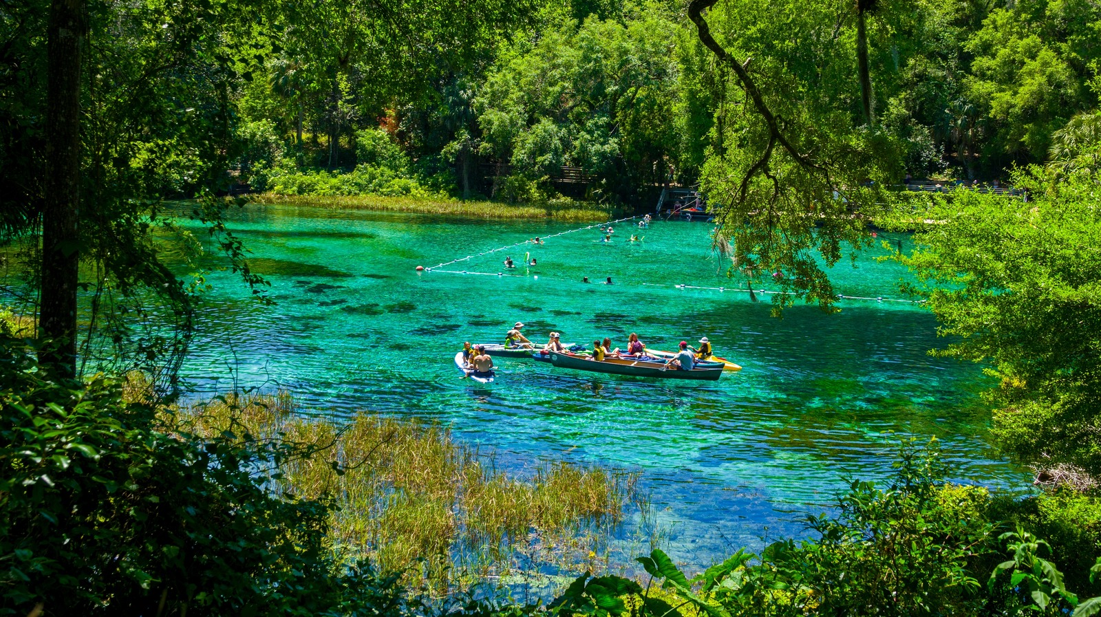 Le Florida State Park qui est chaud toute l'année avec de magnifiques cascades et une natation immaculée