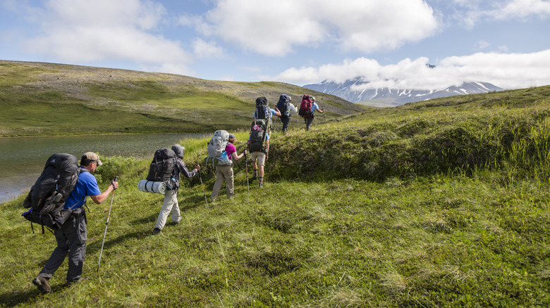 Une ligne de sept routards faisant une randonnée sur les montagnes herbeuses dans le parc national du lac Clark.