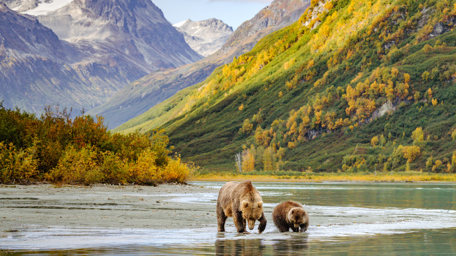 Un parc national éloigné en Alaska propose de superbes sentiers de randonnée et des aventures de vision des ours