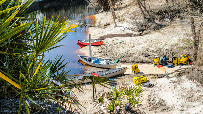 Floride de la rivière Suwannee