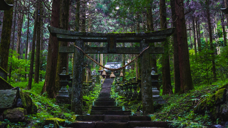un sanctuaire japonais au fond de la forêt