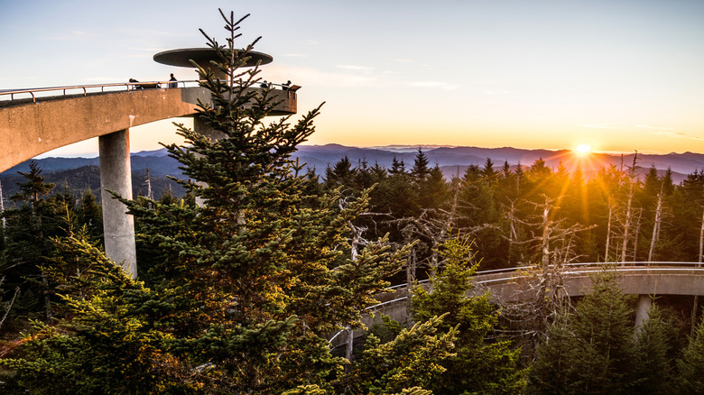 Tour d'observation de Kuwohi au coucher du soleil dans le parc national des Great Smoky Mountains