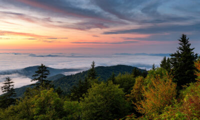 Faites de la randonnée jusqu'au point le plus haut de Great Smoky Mountains National Park pour une vue imprenable