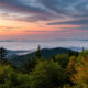 Faites de la randonnée jusqu'au point le plus haut de Great Smoky Mountains National Park pour une vue imprenable