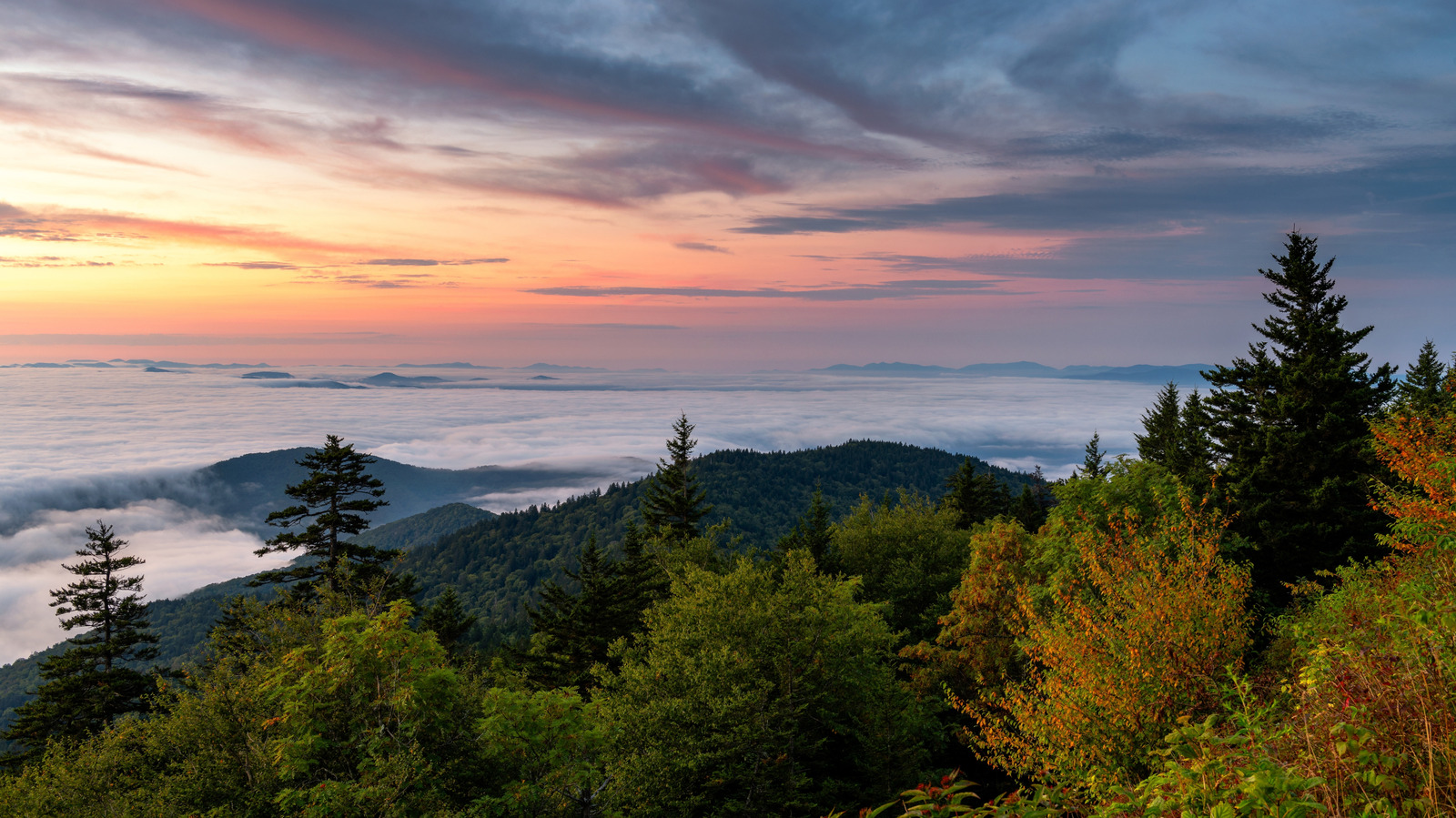 Faites de la randonnée jusqu'au point le plus haut de Great Smoky Mountains National Park pour une vue imprenable