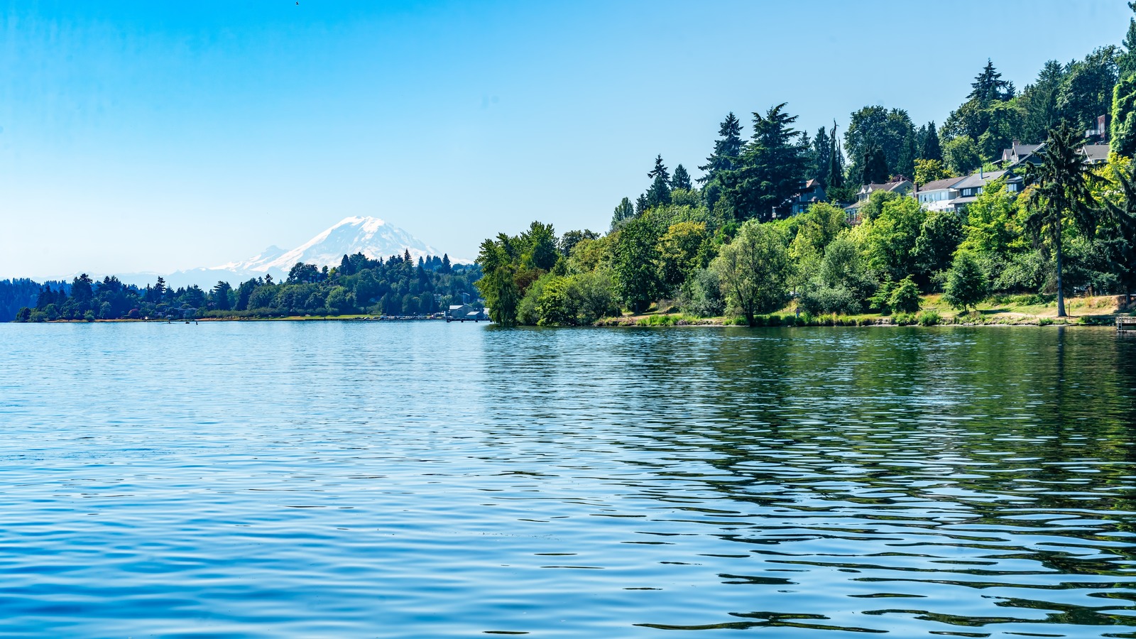 L'un des lacs populaires de Washington est plus dangereux que les visiteurs