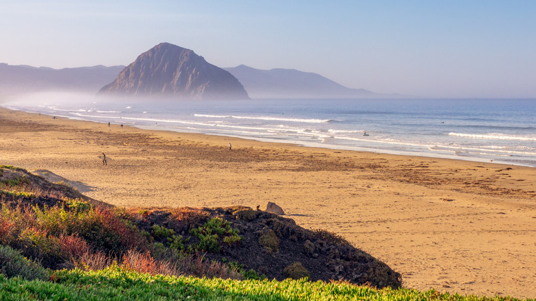 Une plage à Morro Bay, en Californie