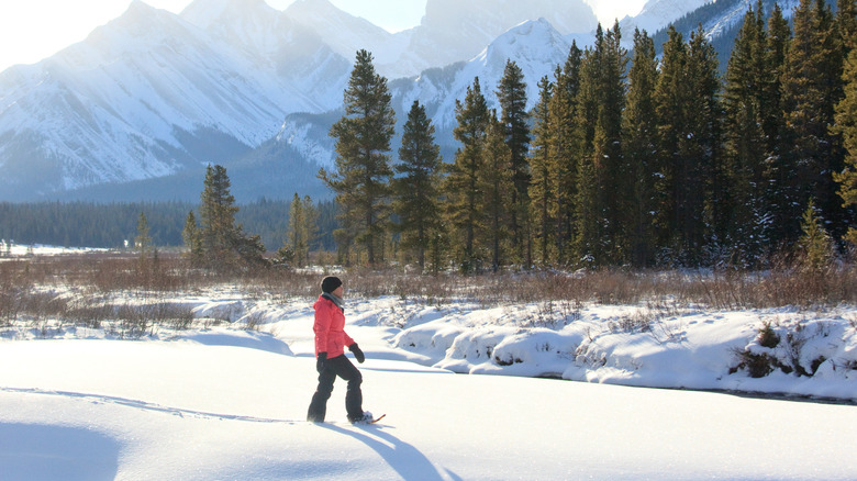 Une femme caucasienne dans la randon des années 40 dans les Rocheuses canadiennes