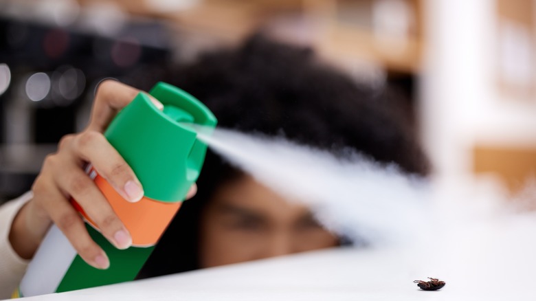 Répulsif de bug en pulvérisation en cours de pulvérisation