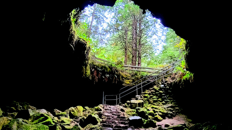 Entrée de la grotte des singes à Mount St. Helens