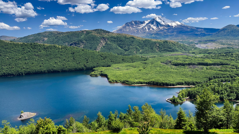 Coldwater Lake Mount St. Helens