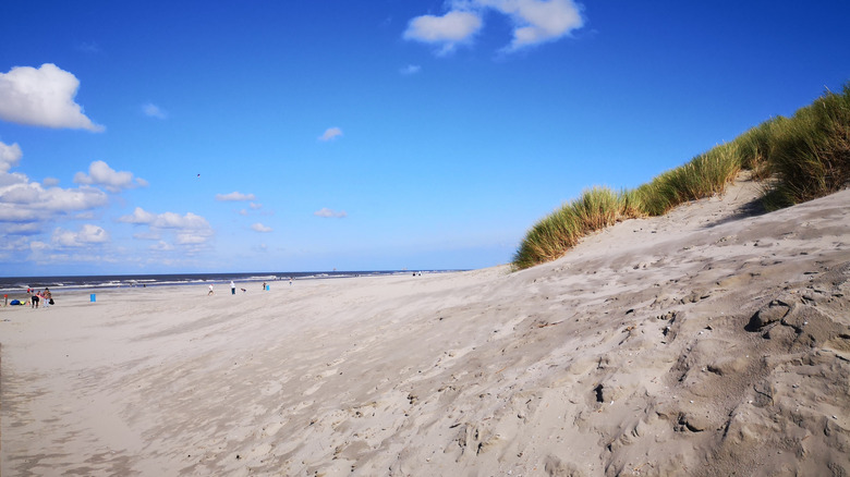 Plage de sable blanc avec des gens à distance