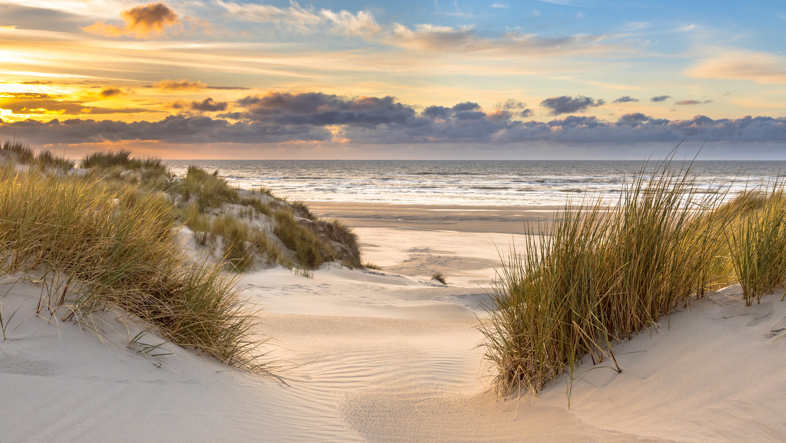 L'une des plages les plus propres d'Europe est une évasion néerlandaise sous-estimée avec des vues panoramiques