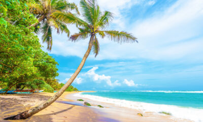 Ce parc d'État de Floride pittoresque est parfait pour une escapade île calme