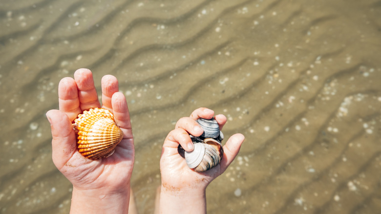 Les mains des enfants tenant des obus dans la mer