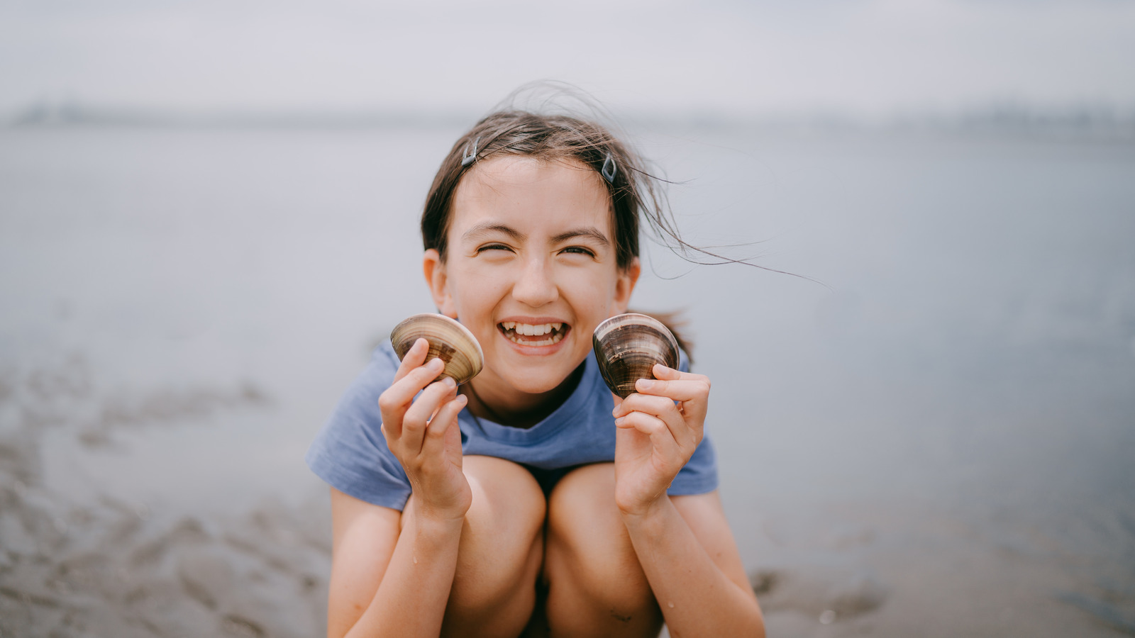 Une plage isolée sur l'île de Sanibel en Floride offre une évasion tranquille avec des coquillages frais