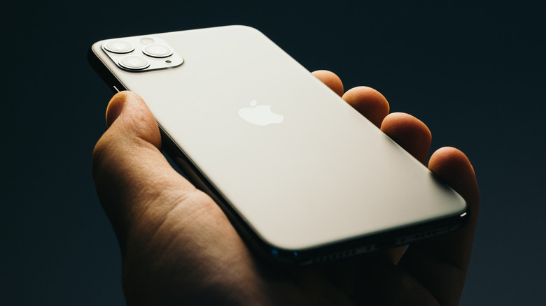 personne tenant l'iPhone 11 Pro Max