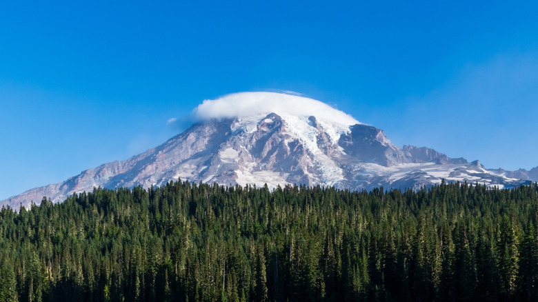 Vue sur le mont Rainier à Washington debout au-dessus des arbres avec des nuages planant au-dessus de son apogée