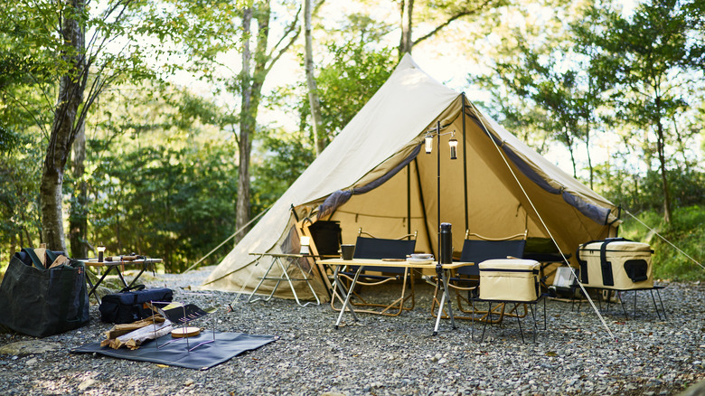 Outils de camping et tente en forêt