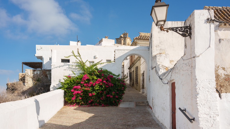 Ruelles d'Arcos de la Frontera