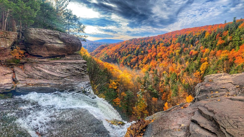 feuillage d'automne vu du haut de la cascade