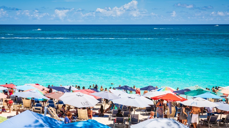 Des foules se blottissent sous des parapluies à Cabbage Beach, Bahamas