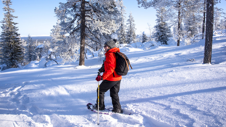 Une femme en randonnée avec des arbres blancs derrière elle