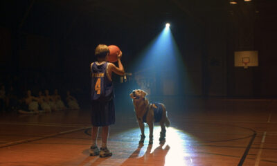 Air Bud Returns a la description de l'intrigue le plus folle que vous lirez en 2025