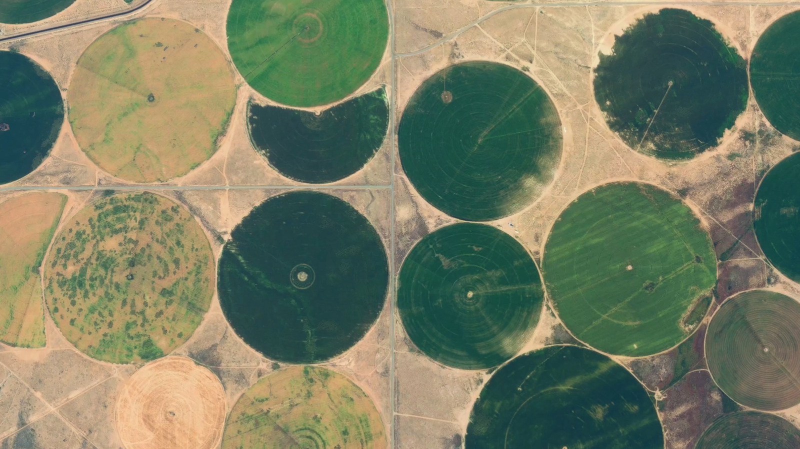 Quels sont ces cercles verts dans un avion?