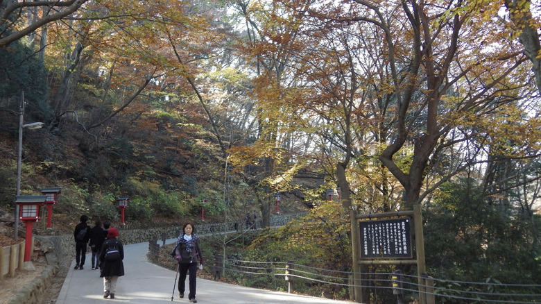 Feuilles d'automne Mount Takao Trail de randonnée