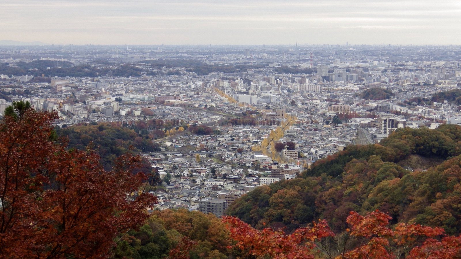La montagne la plus populaire de Tokyo propose divers sentiers de randonnée avec des vues panoramiques