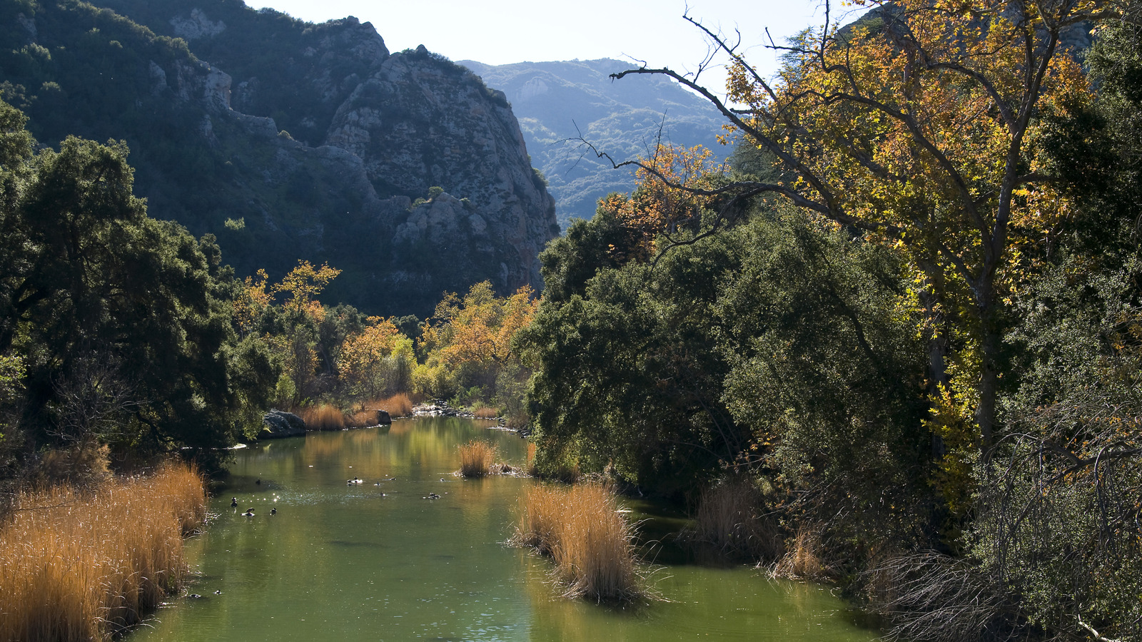 Le parc d'État de Californie dans les montagnes de Santa Monica propose des randonnées pittoresques et de l'escalade