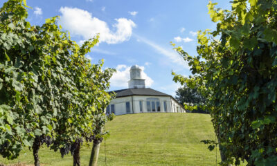 Cette magnifique vignoble Virginia est parfaite pour une escapade de la dégustation de vins respectueuse du budget