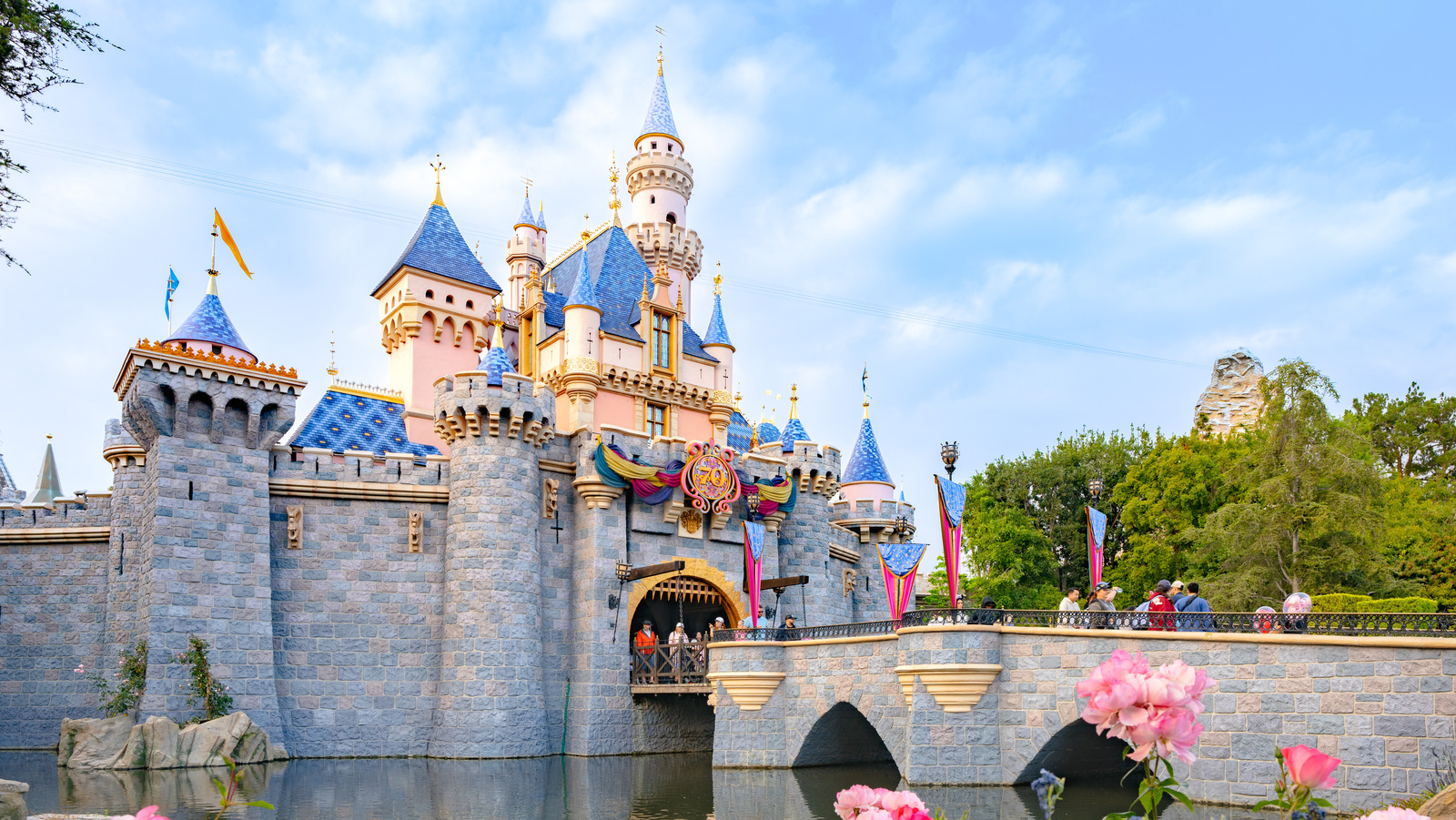 Ce que cela signifie de «chute de corde» à Disney Parks et pourquoi c'est peut-être le piratage ultime pour les touristes