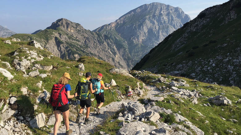 Trois randonneurs avec des sacs à dos et des bâtons de trekking randonnent dans les montagnes